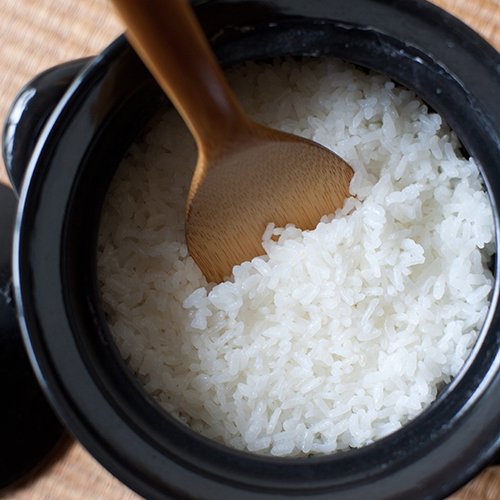 コセール ご飯鍋 1号 cocer rice pot no.1