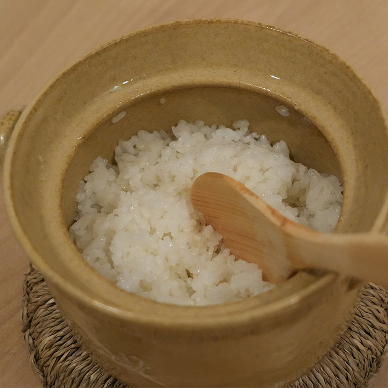 コセール ご飯鍋 1号 cocer rice pot no.1