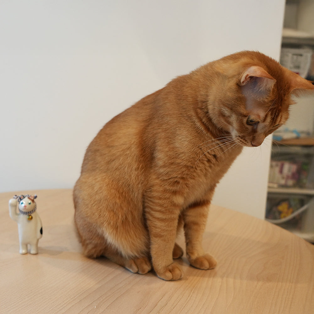 ま工房　招き猫　Laky cat　真工房｜招福猫