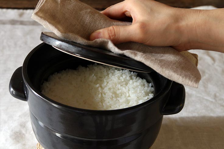 Kamoshik Rice pot  Japanese Donabe/Banko ware