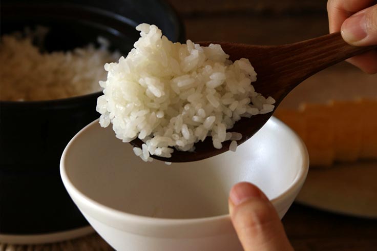Kamoshik Rice pot  Japanese Donabe/Banko ware