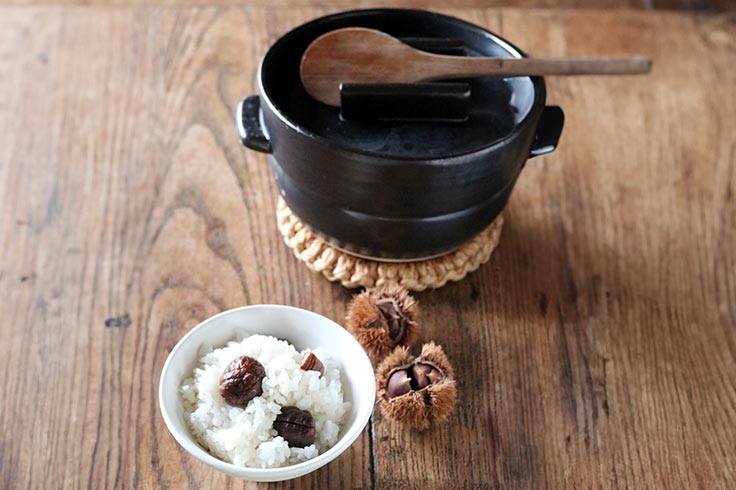 Kamoshik Rice pot  Japanese Donabe/Banko ware